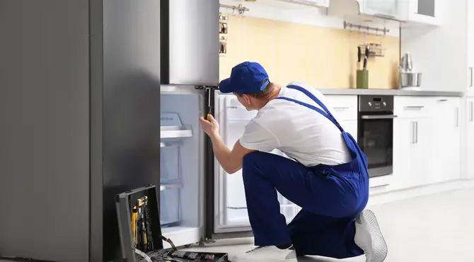 Fridge Repair